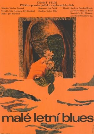 Little Summer Blues's poster