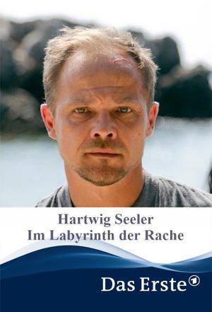 Hartwig Seeler – Im Labyrinth der Rache's poster