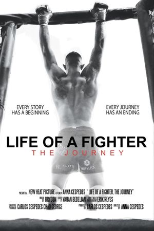 Life of a Fighter: The Journey's poster
