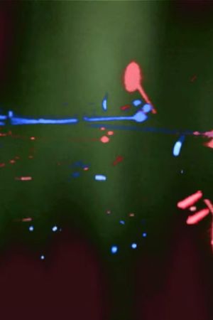 Red and Blue Armies in a Forest's poster