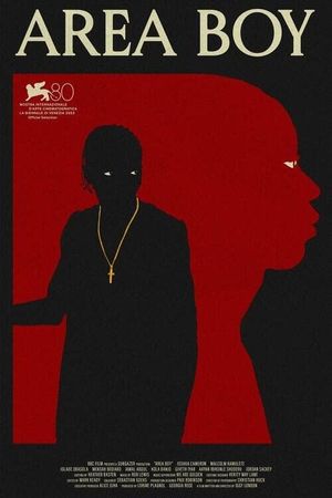 Area Boy's poster
