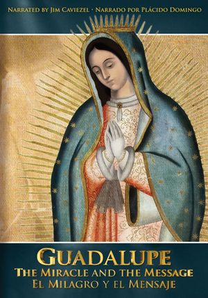 Guadalupe: The Miracle and the Message's poster