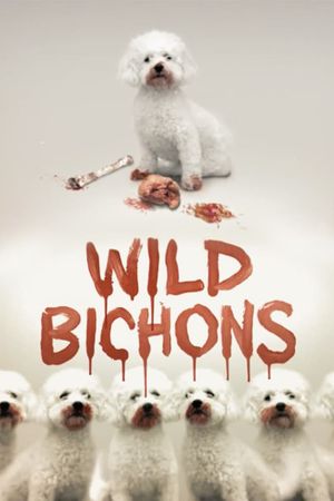 Wild Bichons's poster image