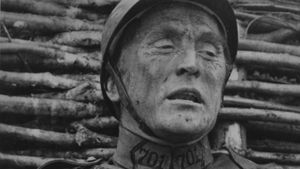 Paths of Glory's poster