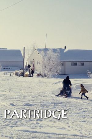 Partridge's poster