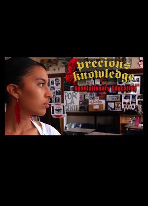 Precious Knowledge's poster