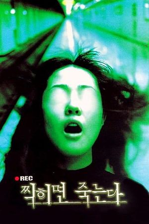 The Record's poster