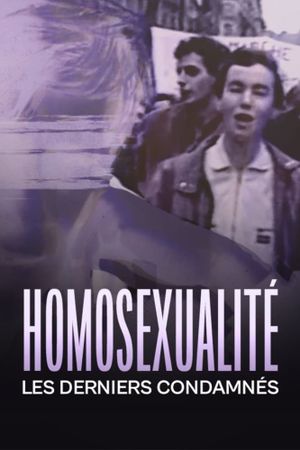 Homosexualité: Les derniers condamnés's poster