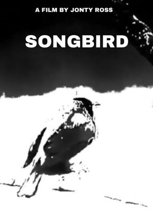Songbird's poster
