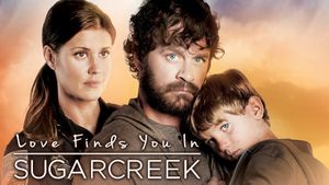 Love Finds You In Sugarcreek's poster