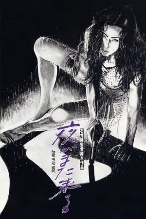 Alone in the Night's poster image