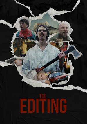 The Editing's poster