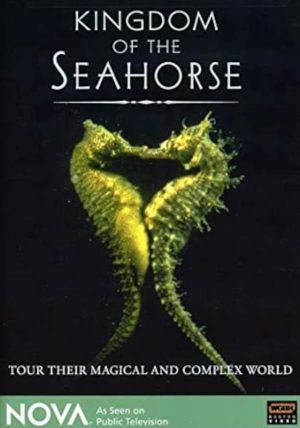 Kingdom of the Seahorse's poster