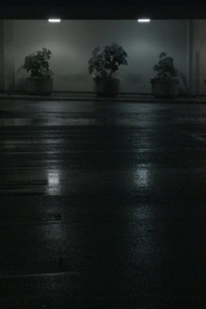 Night Swells's poster image