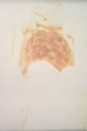 Adytia's poster