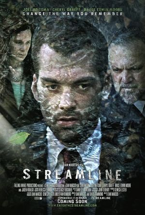 Streamline's poster