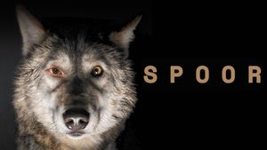 Spoor's poster