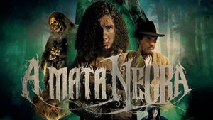 The Black Forest's poster