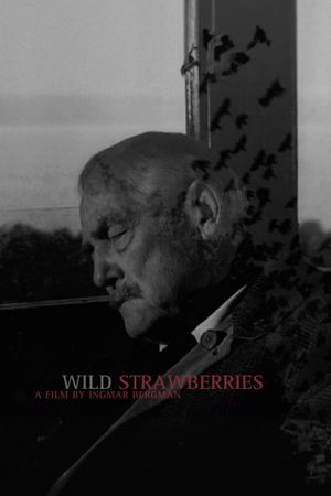 Wild Strawberries's poster