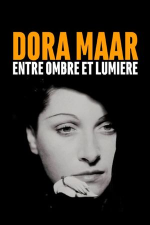 Dora Maar, Between Light and Shade's poster image