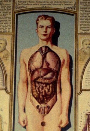 Natural History's poster