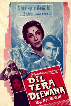 Dil Tera Diwana's poster
