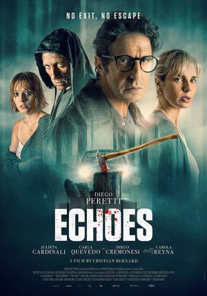 Echoes of a Crime's poster