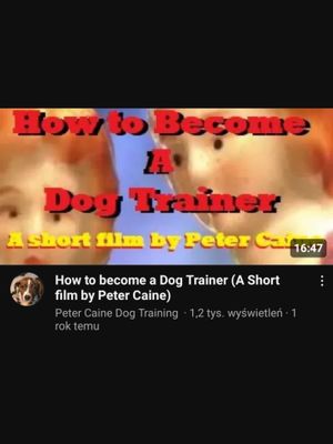 How to become a Dog Trainer's poster