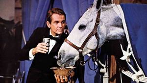 The Horse in the Gray Flannel Suit's poster