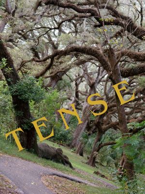 Tense's poster