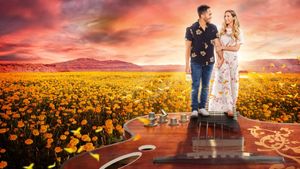 Love in the Limelight's poster