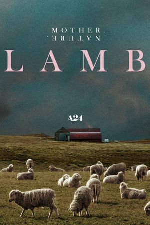 Lamb's poster