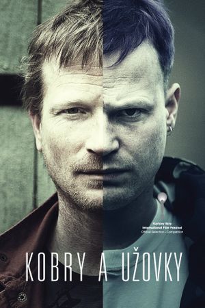 The Snake Brothers's poster