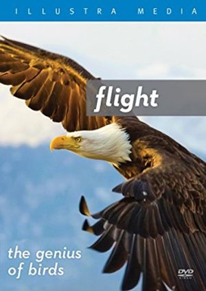Flight: The Genius of Birds's poster image