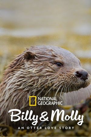 Billy & Molly: An Otter Love Story's poster
