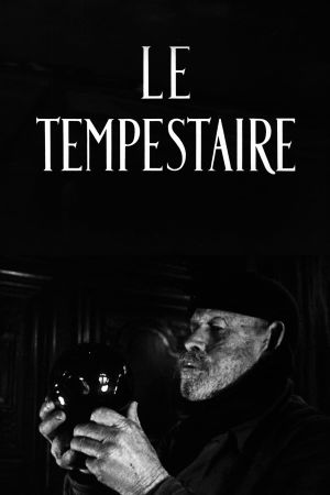 The Storm-Tamer's poster