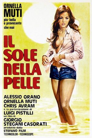 Summer Affair's poster