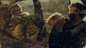 Looking for Venera's poster