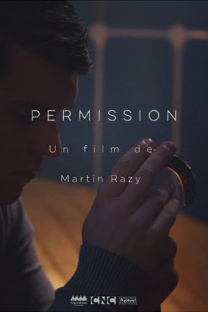 Permission's poster