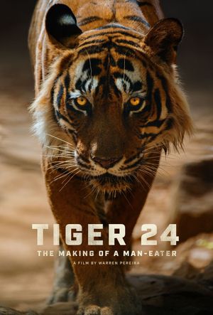 Tiger 24's poster