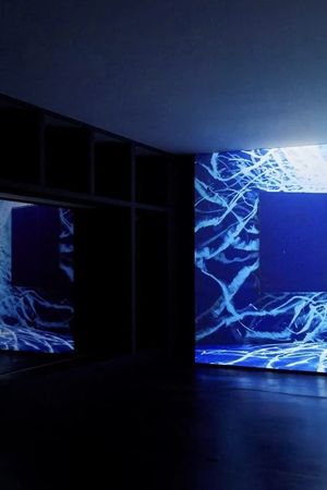 Where Light Falls's poster