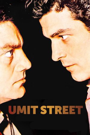 Ümit sokagi's poster