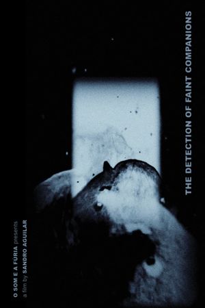 The Detection of Faint Companions's poster
