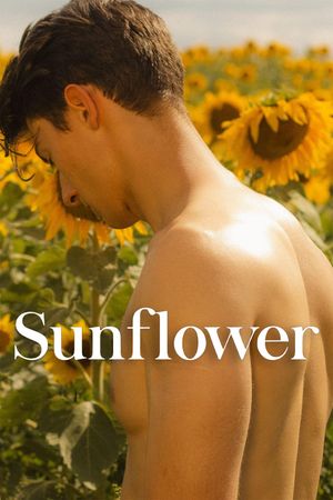 Sunflower's poster