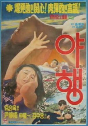 Night Journey's poster