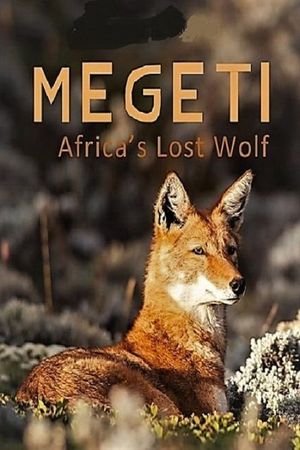 Megeti - Africa's Lost Wolf's poster