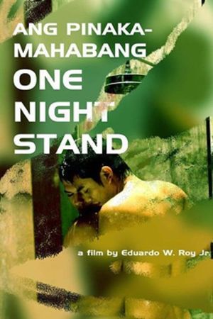 Ang pinakamahabang one night stand's poster