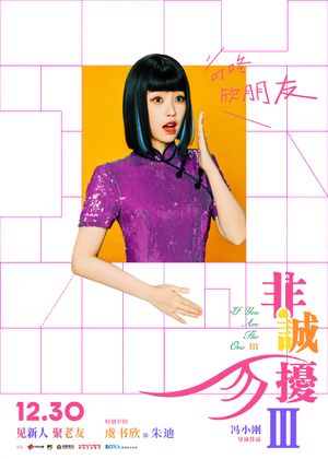 If You Are the One 3's poster