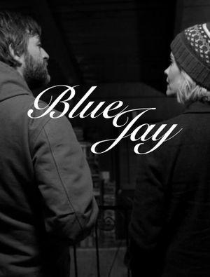 Blue Jay's poster