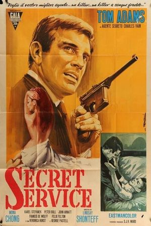 The 2nd Best Secret Agent in the Whole Wide World's poster